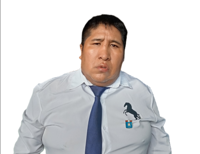 Wilfredo Mamani Pilcomamani